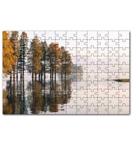 Cakapuzzle Durgun Gölde Ağaçlar Sisli Arkaplan Puzzle Yapboz MDF (Ahşap) (120 Parça)