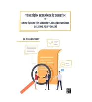 Yönetişim Ekseninde İç Denetim ve Kamu İç Denetim Standartları Çerçevesinde Gelişime Açık Yönleri