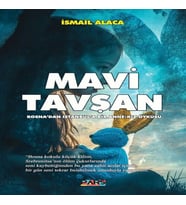 Mi Tşan
