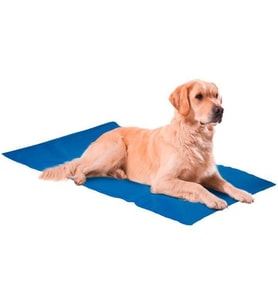 Nunbell Serinleticili Köpek Yatağı XX-Large (Mavi)