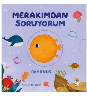 Merakımdan Soruyorum - Okyanus