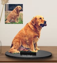 Kişiye Özel Köpek Evcil Hayvan Tasarımlı Karikatür Biblo