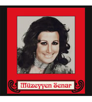 Müzeyyen Senar Akşam Oldu Hüzünlendim Ben Yine - Plak (Standart)