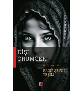 Dişi Örümcek