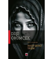 Dişi Örümcek