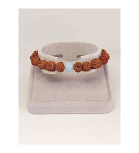 Akuamarin Taşlı Rudraksha Tohum Unisex Bileklik 8mm