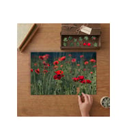 Gelincik Tarlası - Doğa - Bitkiler Tasarımı 240 parça Ahşap Puzzle Ahşap Kutuda MP01536