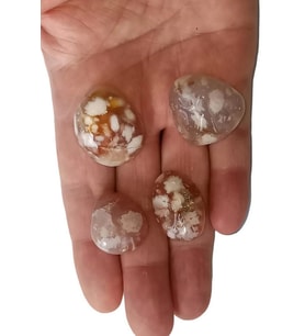 Flower Agate Çiçek Akik 50 Gram Tamburlu Parçalar 631