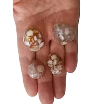 Flower Agate Çiçek Akik 50 Gram Tamburlu Parçalar 631