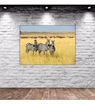 BK Home Zebra Manzaralı Kanvas Tablo 50x70cm-1