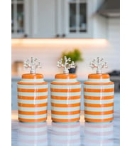 Baharatlık - Seramik Kapaklı 3 lü Soft Sarı Zebra Gümüş