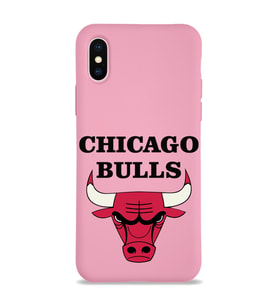 Apple iPhone XS Uyumlu Lansman Kılıf Chicago Bulls Tasarımlı Altı Kapalı İçi Kadife Kaplı  Kapak (Şeffaf)