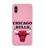 Apple iPhone XS Uyumlu Lansman Kılıf Chicago Bulls Tasarımlı Altı Kapalı İçi Kadife Kaplı  Kapak (Şeffaf)
