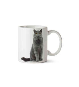 Kedi Seni Seviyorum Love Porselen Kupa Bardak