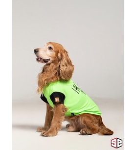 Yazlık Köpek Tsihrt İ Always With You Köpek Kıyafeti 0-15Kg (Yeşil)