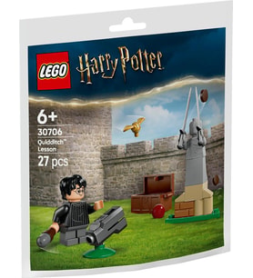 LEGO Harry Potter 30706 Quidditch Lesson