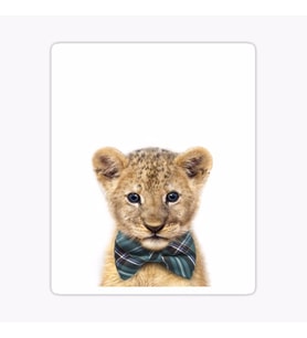 UFak Bebek Aslan Araba Oto Sticker Etiket Renkli W6