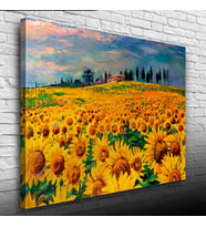 Ayçiçeği, Gündöndü, Günebakan Tarlası Kanvas Tablo 50 x 70