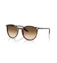 RB 2204 143151 54 Ray-Ban Güneş Gözlüğü