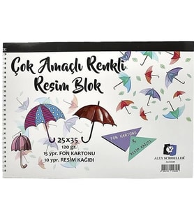 ALEX SCHOELLER ÇOK AMAÇLI BLOK RESİM DEFTERİ 25x35 120gr. ALX-0589