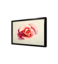 Pembbe Gül Çerçeveli Mdf Tablo