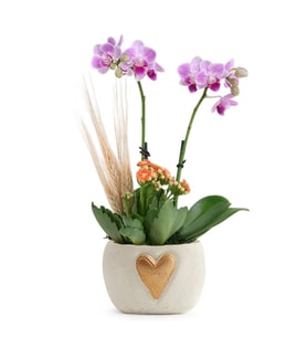 Kalp Vazoda Mini Mor Orkide ve Turuncu Kalanchoe