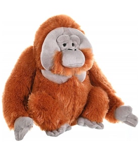 Peluş Erkek Orangutan Peluş 30 Cm Wıld Republıc Ck Serisi (Çok Renkli)