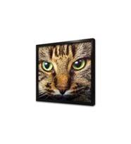 Kedi Yavrusu Çerçeveli Mdf Tablo