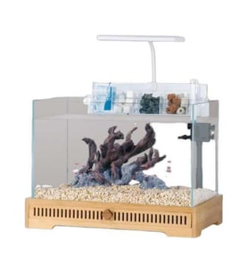 Jeneca TG-40 Akvaryum+Dekor 31x21x24,5 Cm (9,4L)