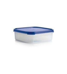 Oval Modüler Saklama Kabı 1.2 Lt
