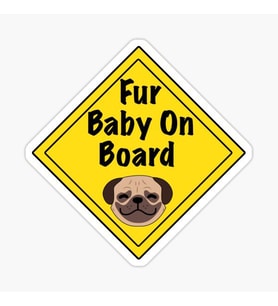 Arabada Köpek Var Araç Sticker Etiket 19CM md11