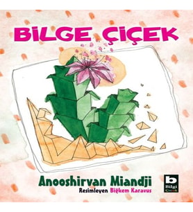 Bilge Çiçek