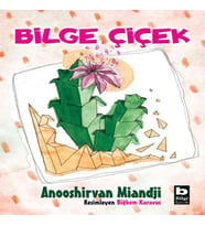 Bilge Çiçek
