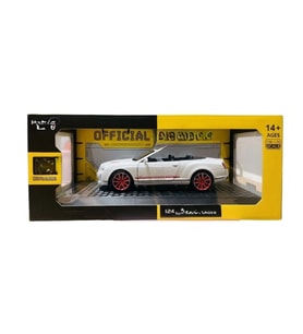 1/24 Model Araba