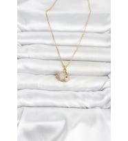 316L Çelik Zincir Gold Renk Zirkon Taşlı Tavşan Model Kadın Kolye 5886 - SSSSSS9862-5201