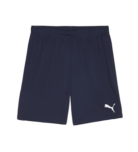 Puma Teamgoal Shorts Erkek Futbol Antrenman Şortu 70575206 Mavi