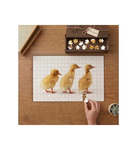 Sevimli Ördek Civcivleri Tasarımı 240 parça Ahşap Puzzle Ahşap Kutuda MP05372