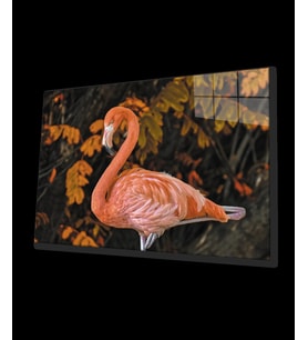 Flamingo 2 Cam Tablo