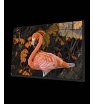 Flamingo 2 Cam Tablo