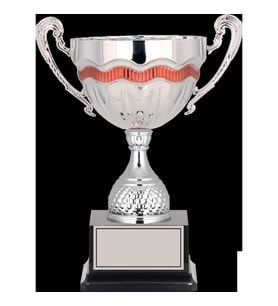 ODAK KUPA - Elit Kupalar - ELT-052 C - 33 cm