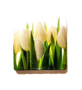 Doğal Taş Dekoratif Figürlü Gider Kapağı Banyo Süsü 10x10 cm