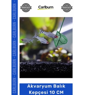 Özel Üretim Kaliteli Dayanıklı İnce Gözenekli Akvaryum Aksesuarları Akvaryum Balık Kepçesi 10 CM
