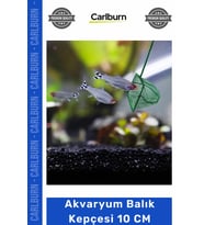 Özel Üretim Kaliteli Dayanıklı İnce Gözenekli Akvaryum Aksesuarları Akvaryum Balık Kepçesi 10 CM