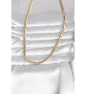 14K Gold Renk Yassı Yılan Zincir 45 cm Kadın Kolye (CM) (Standart)
