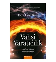 Vahşi Yaratıcılık