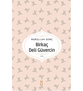 BİRKAÇ DELİ GÜVERCİN -ŞİİR-NURULLAH GENÇ   TİMAŞ