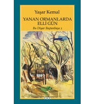 Yanan Ormanlarda Elli Gün - Bu Diyar Baştan Başa 2