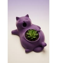 MYCRAFT3D Sevimli Kedi Saksı  Dekoratif Kedi Figürlü Çiçeklik  Masa Üstü Dekoratif Saksı  Mini Doğal Yaşam Alanı