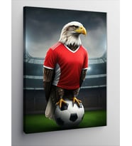 Kanvas Tablo Futbolcu Kartal
