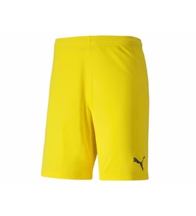 Puma Teamgoal 23 Knit Shorts Erkek Futbol Şortu 70426207 Sarı